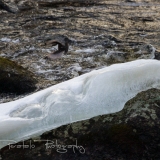 11_EOS7D_07963