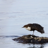 14_EOS7D_08008