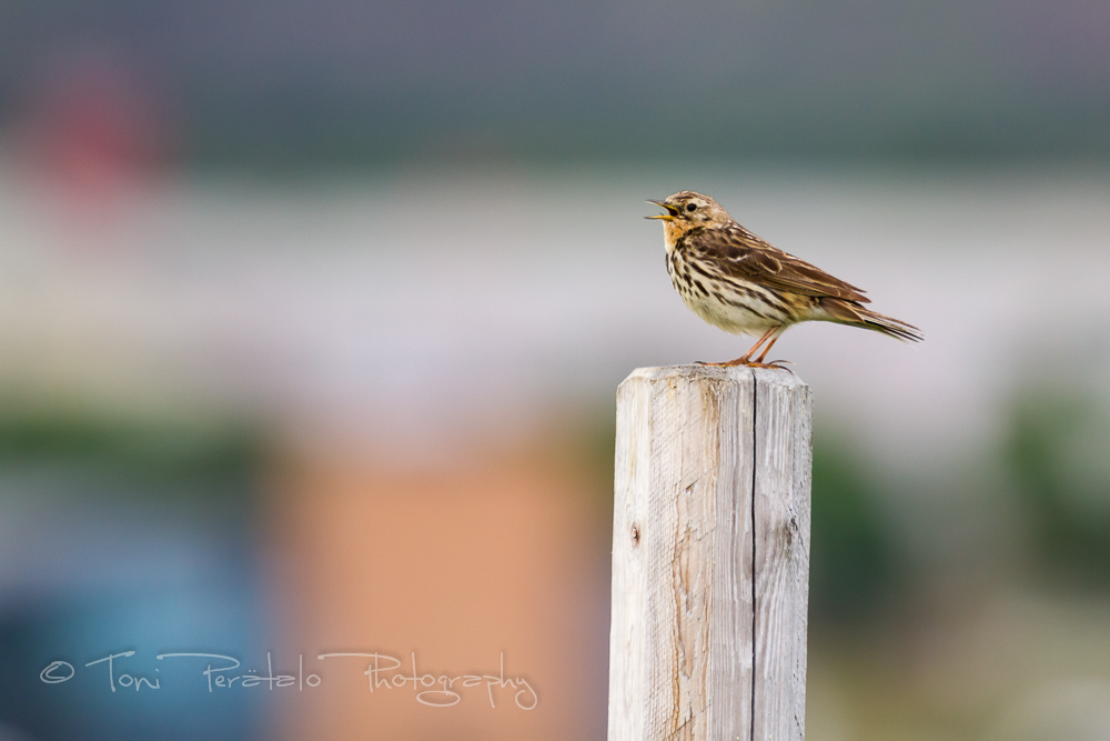 EOS7D_04640.jpg