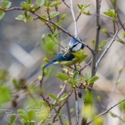 01_EOS7D_16040