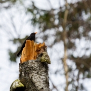 02_EOS7D_15921
