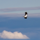 04_EOS7D_04992