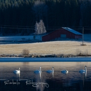 04_EOS7D_14003