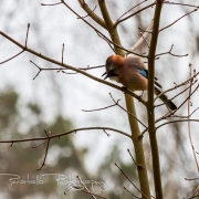 04_EOS7D_15972
