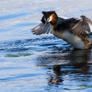 05_EOS7D_10100