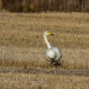 05_EOS7D_14012