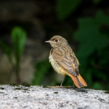 EOS7D_05055