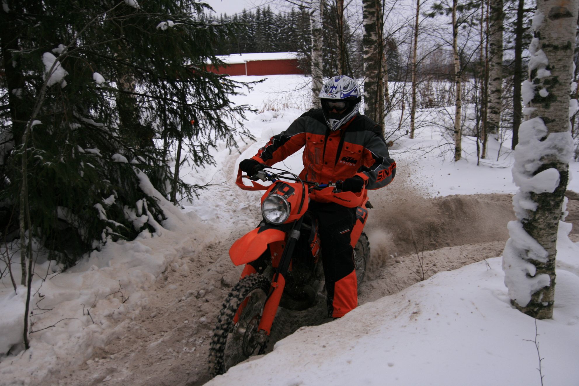 IMG_11410.JPG