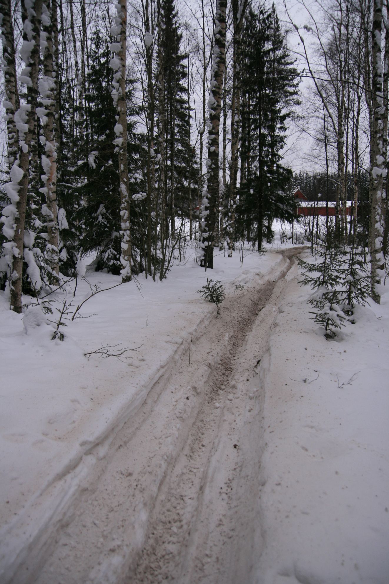 IMG_11434.JPG