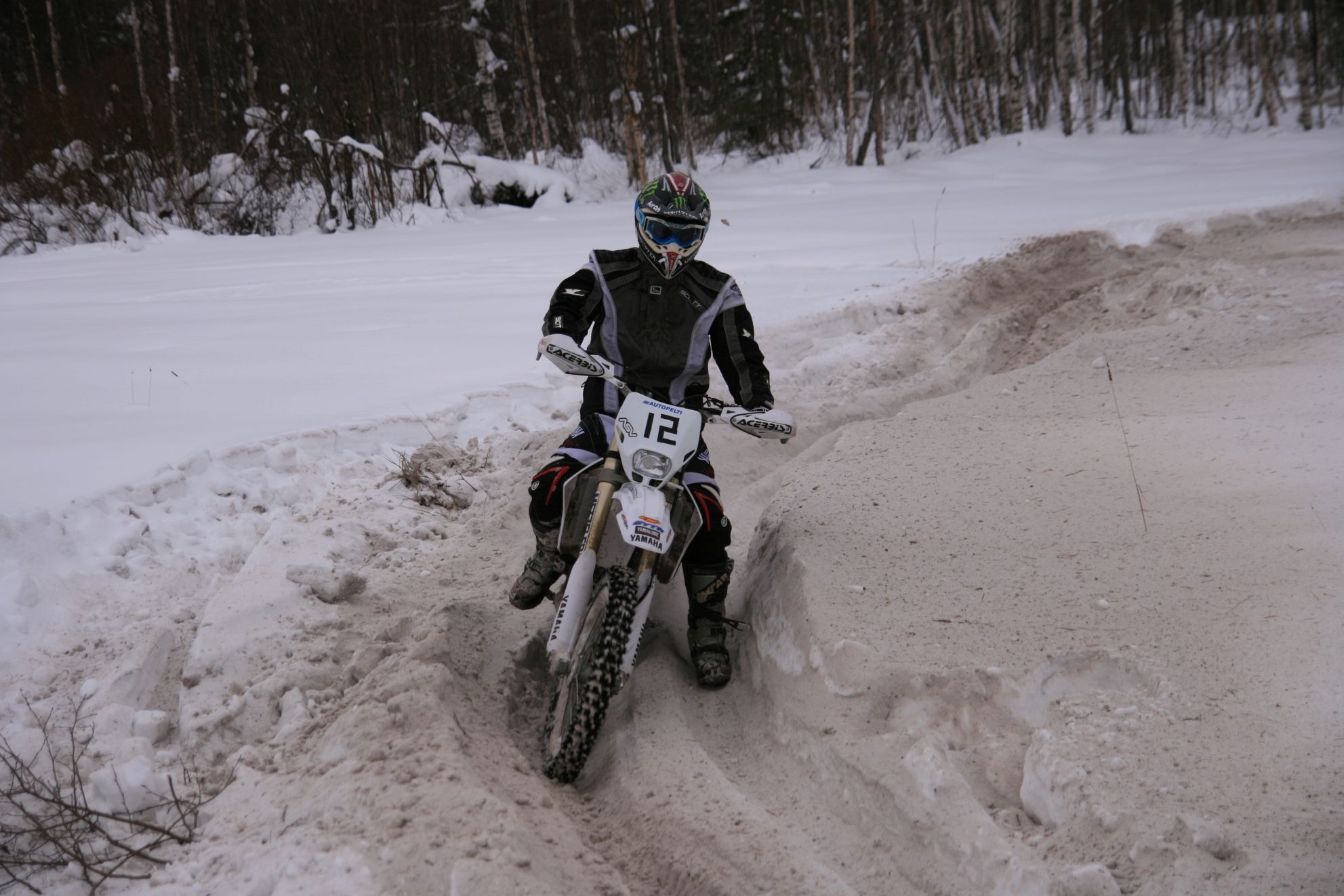 IMG_11547.JPG