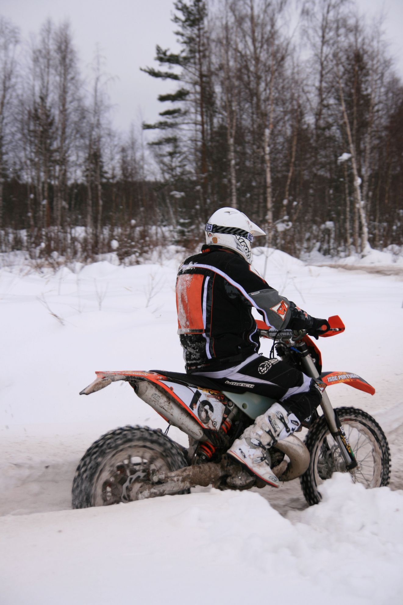 IMG_11559.JPG