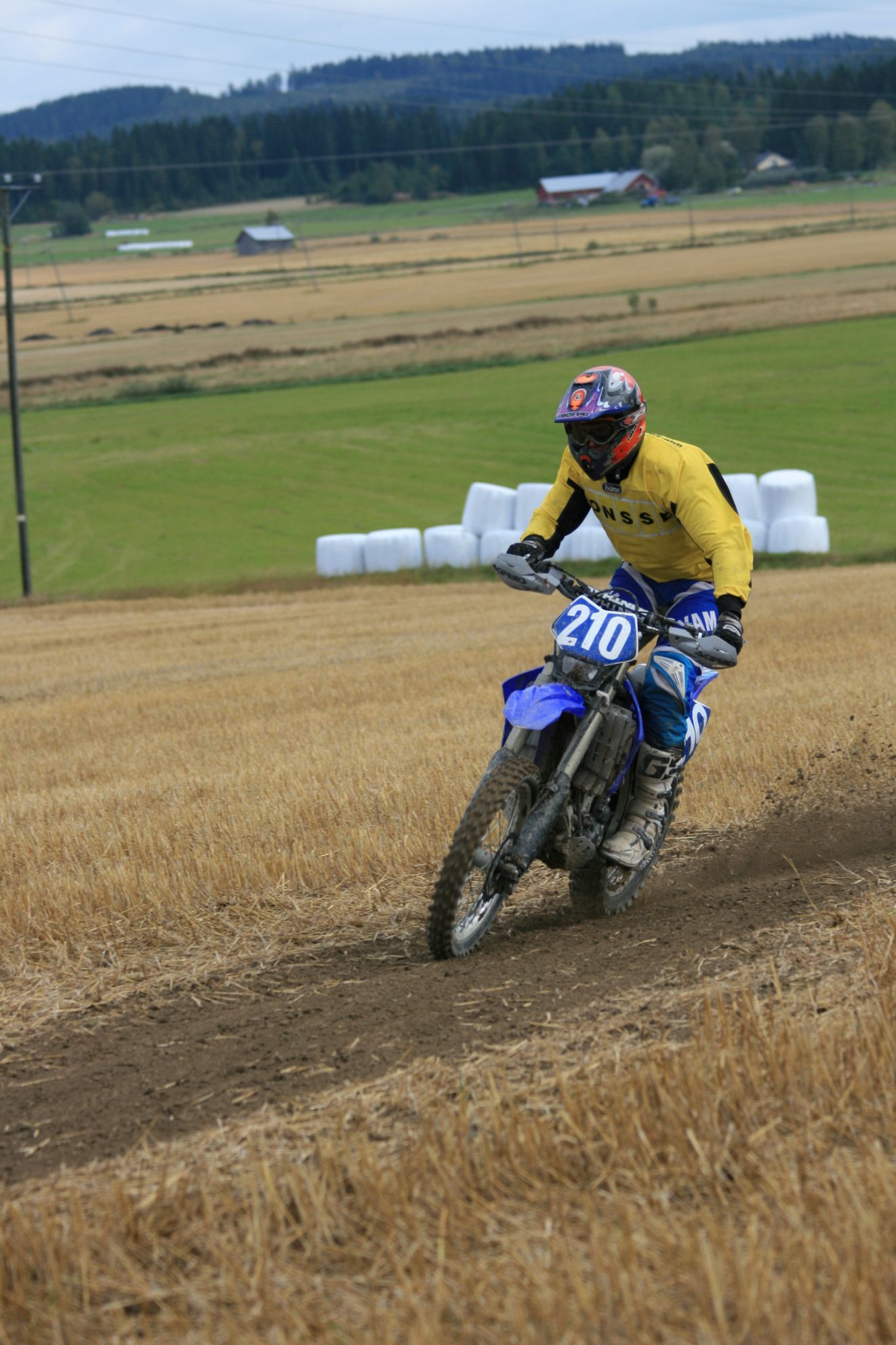 IMG_8405.JPG