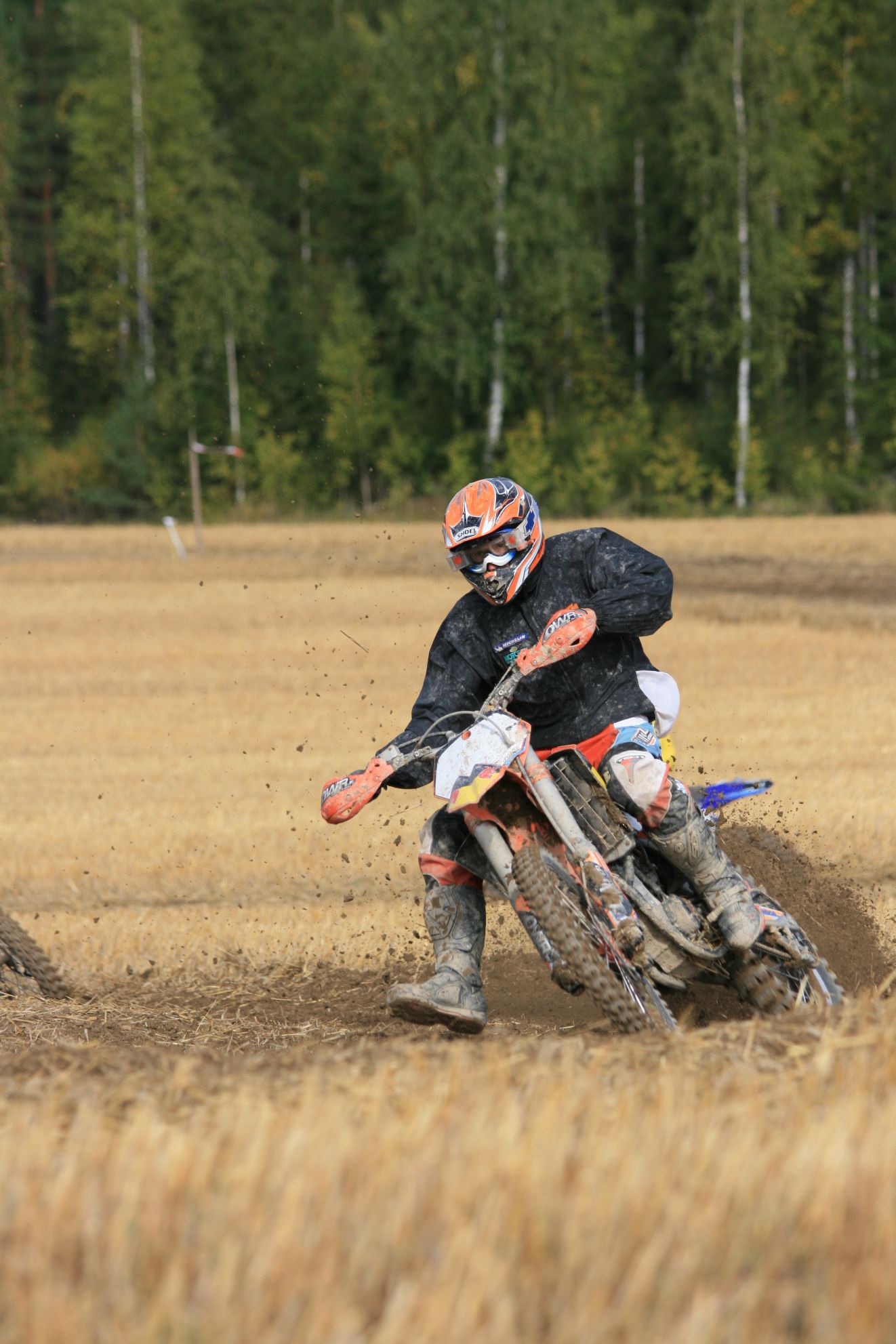 IMG_8556.JPG