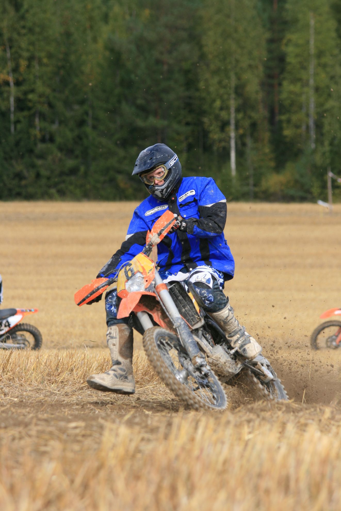 IMG_8565.JPG