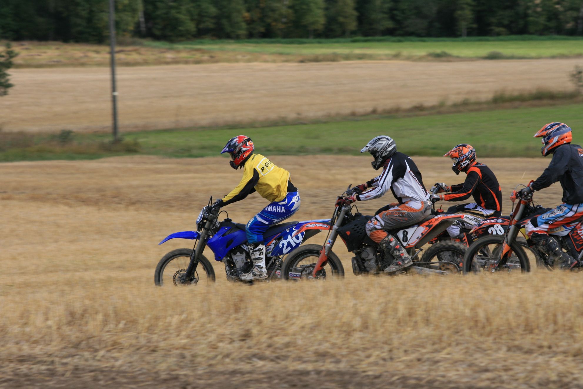 IMG_8626.JPG