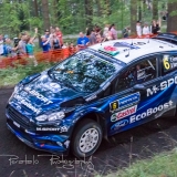 2014_nesterally