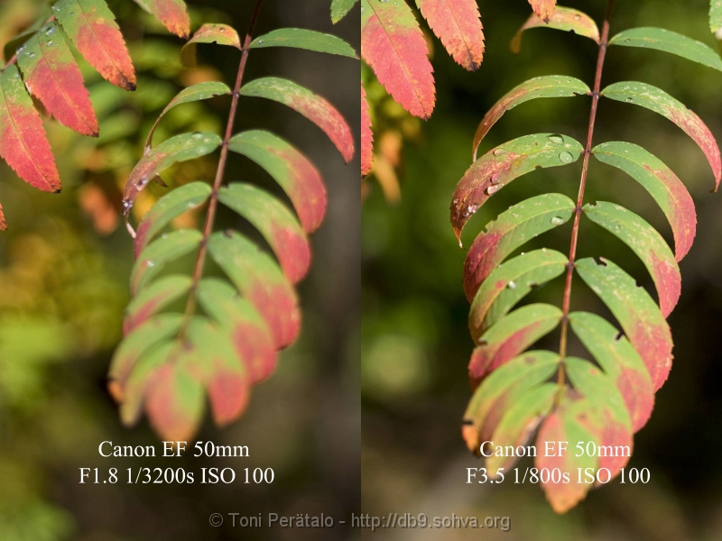 aperturetest.JPG