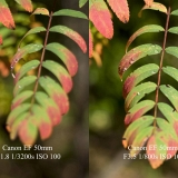 aperturetest