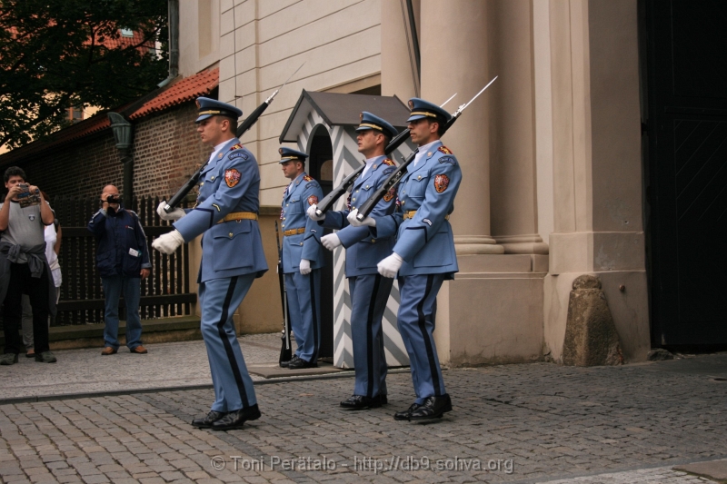 300_IMG_3210.JPG