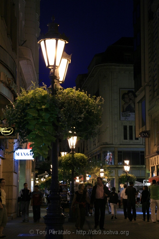 070_IMG_7710.JPG - Vci Street at night (Vci Utca)