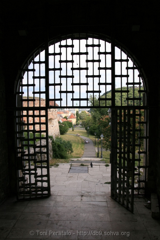 460_IMG_7984.JPG