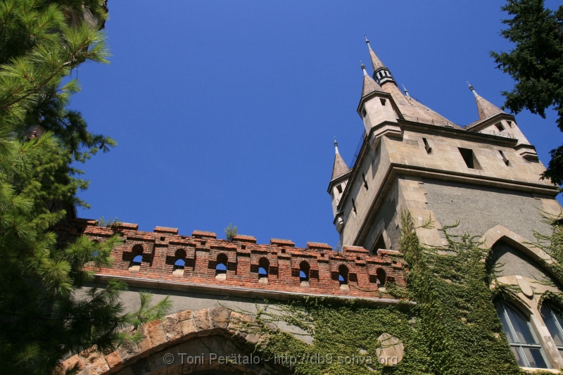 680_IMG_8235.JPG - Vajdahunyad Castle