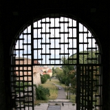 460_IMG_7984