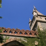 680_IMG_8235