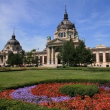 690_IMG_8239