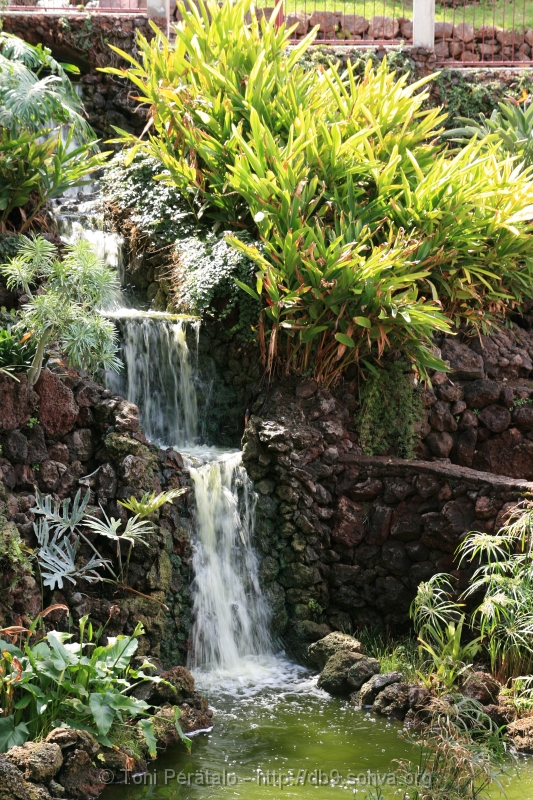200_IMG_20324.JPG