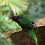 340_IMG_20570