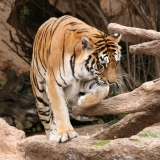 430_IMG_20790