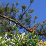 710_IMG_21190