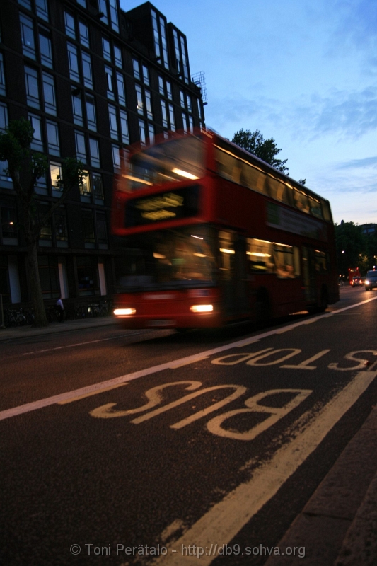080_IMG_27537.JPG
