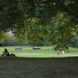 040_IMG_27495