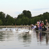 050_IMG_27503