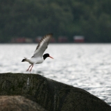 040_IMG_31541