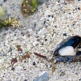 290_IMG_31924