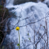 660_IMG_32526