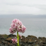 13_IXUS_07077