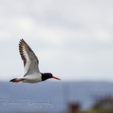 17_EOS7D_04550
