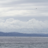 20_EOS7D_04598
