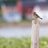 23_EOS7D_04650