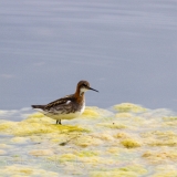 24_EOS7D_04724