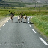 30_IXUS_07096