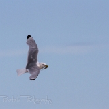 39_EOS7D_04903