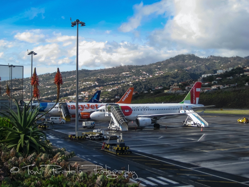 48_IXUS_07902.jpg - Funchal Airport