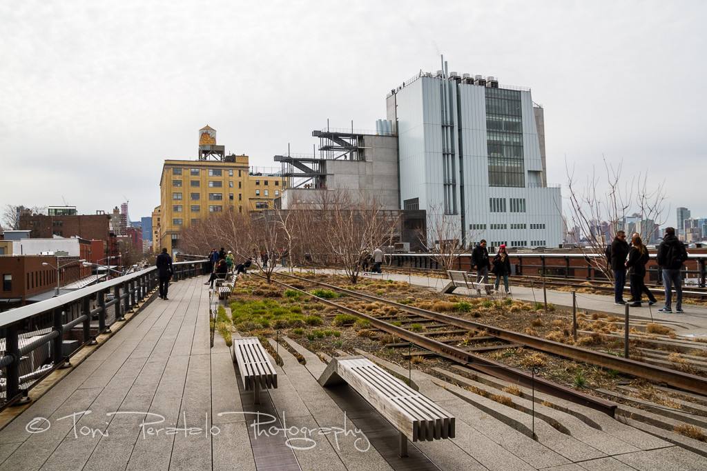40_EOS7D_15585.jpg - High Line