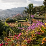 2013_11_madeira